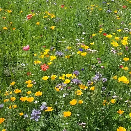 Haus Am 펜션 Rieste